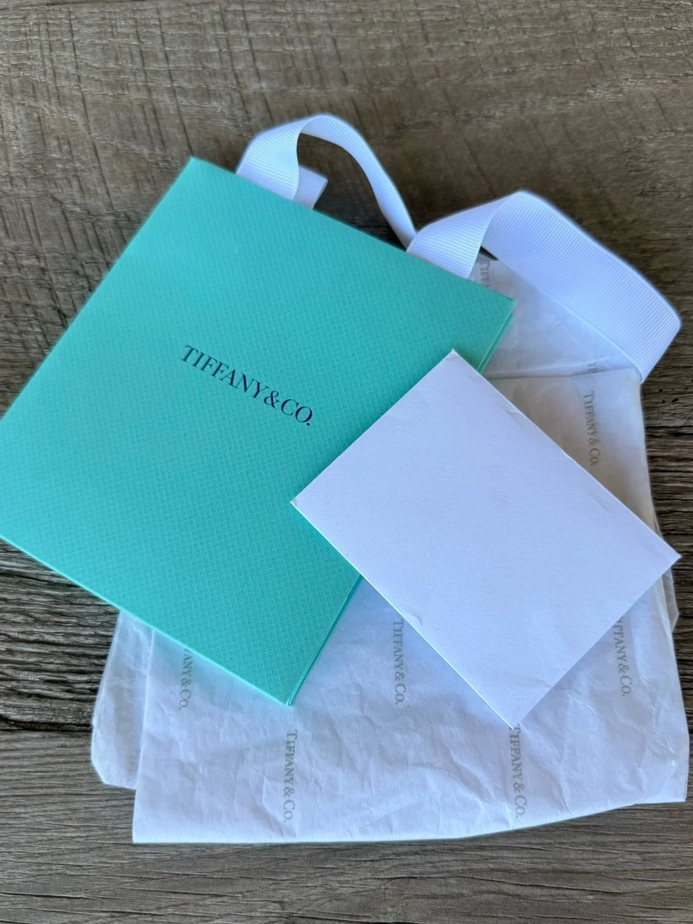 Tiffany & Co. Robin's Egg Blue Gift Bag with White Card & Tissue Paper